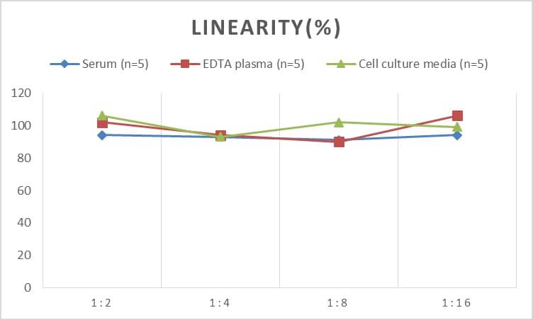 Human Tau ELISA Kit (Chemiluminescence)