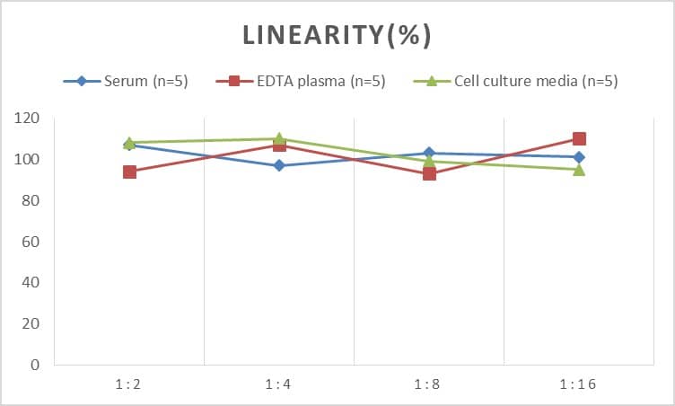 Human Cathepsin K ELISA Kit (Chemiluminescence)