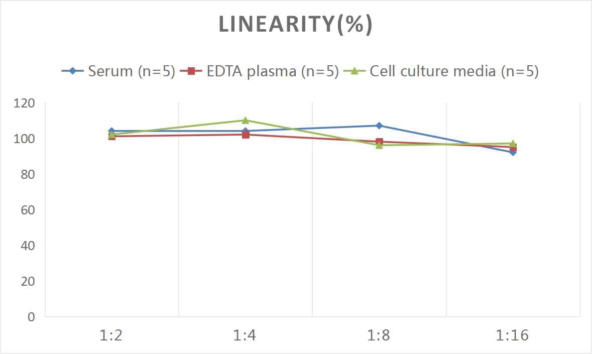 Human GDF-11/BMP-11 ELISA Kit (Chemiluminescence)