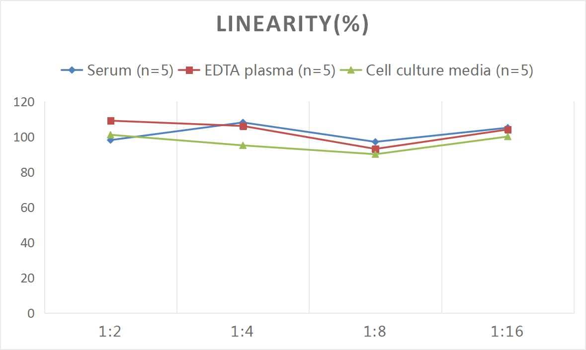 Human beta-NGF ELISA Kit (Chemiluminescence)