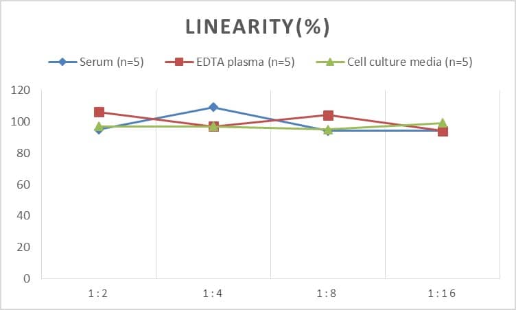 Human IGFBP-rp1/IGFBP-7 ELISA Kit (Chemiluminescence)