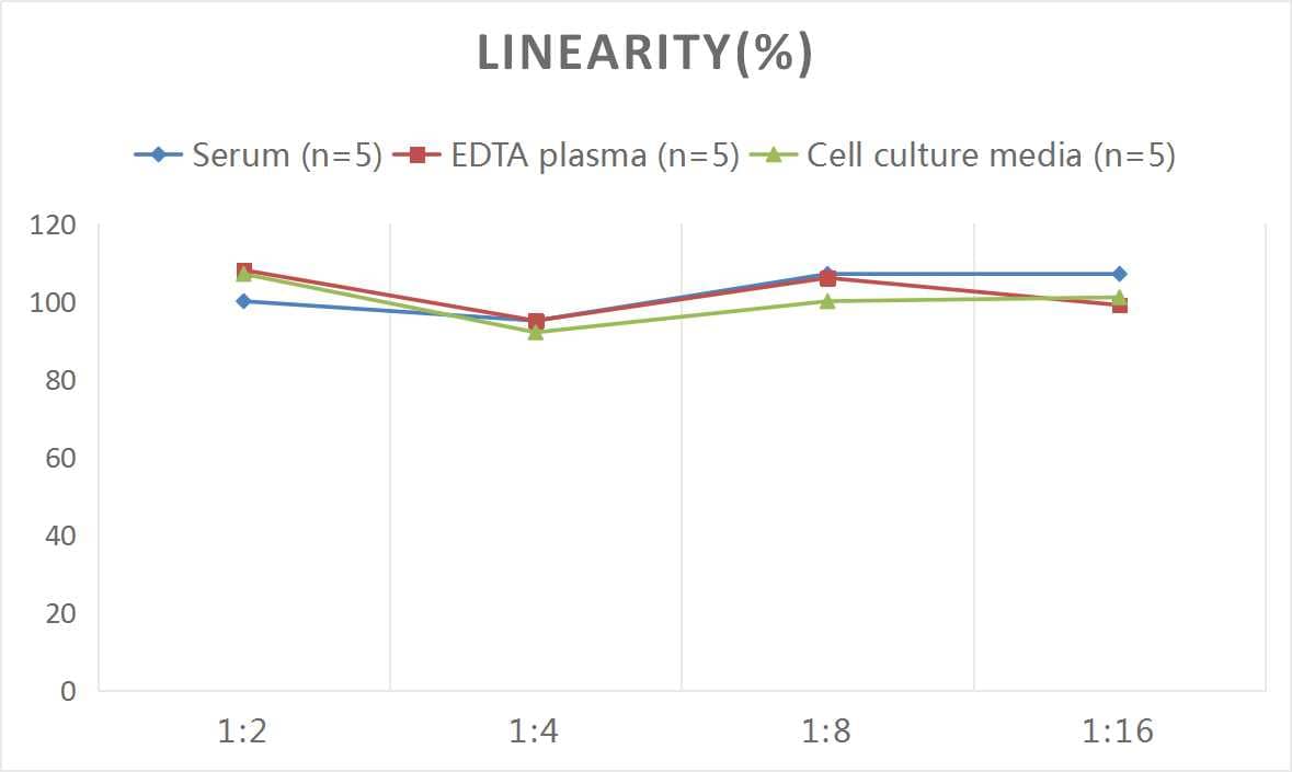 Human NCAM-1/CD56 ELISA Kit (Chemiluminescence)