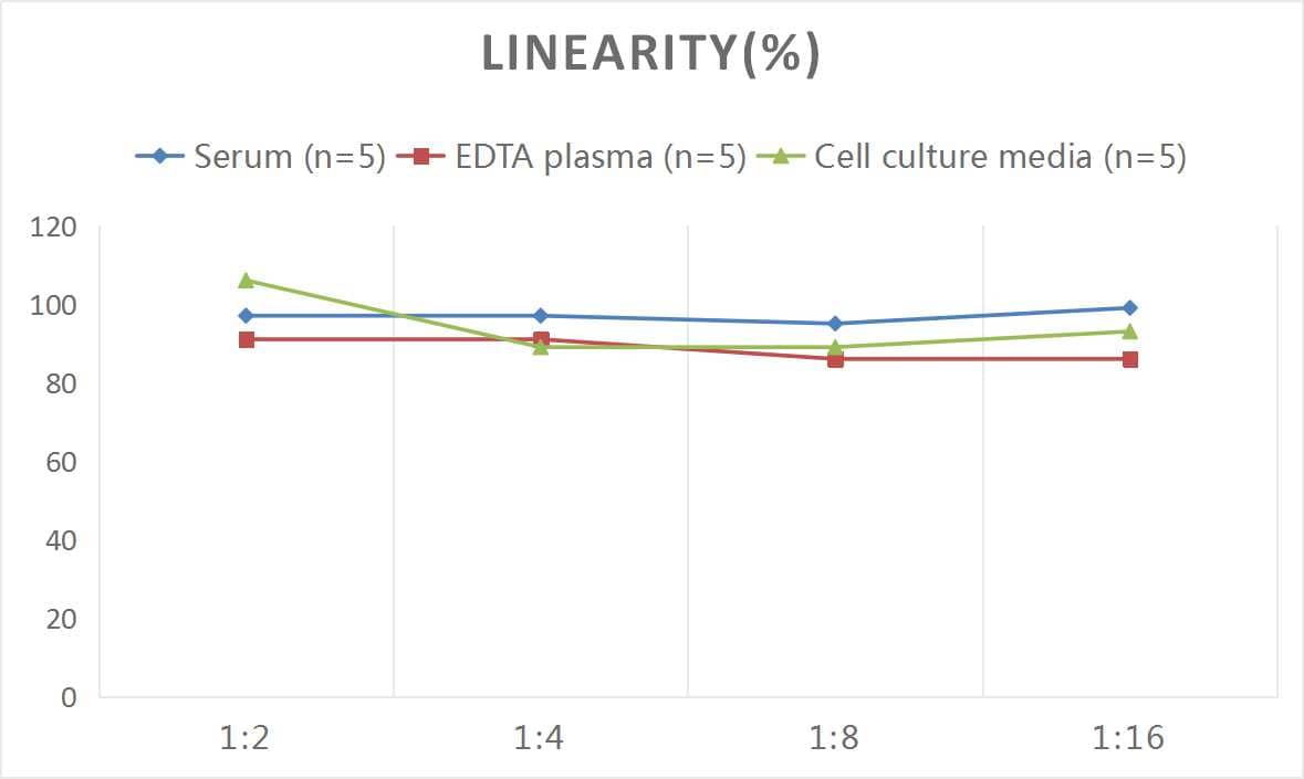 Human NCAM-1/CD56 ELISA Kit (Colorimetric)