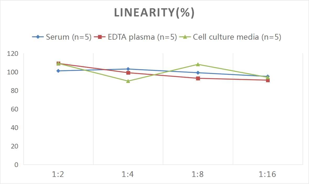 Human HMGB1/HMG-1 ELISA Kit (Chemiluminescence)