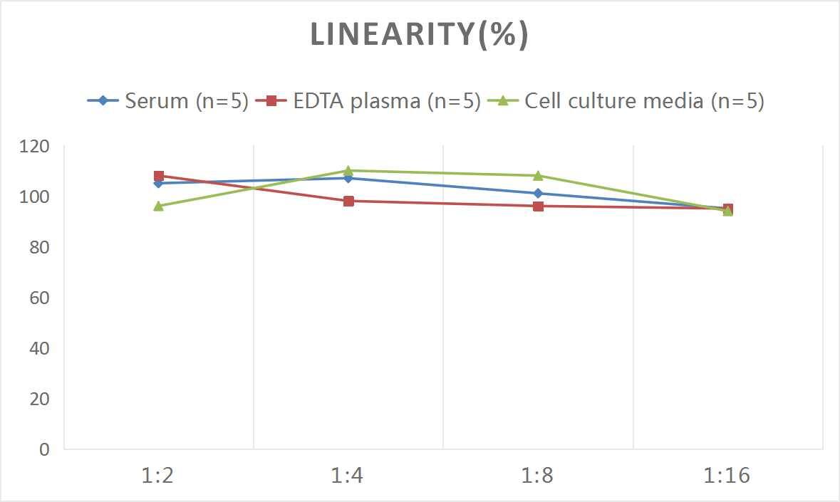 Mouse BMP-4 ELISA Kit (Chemiluminescence)