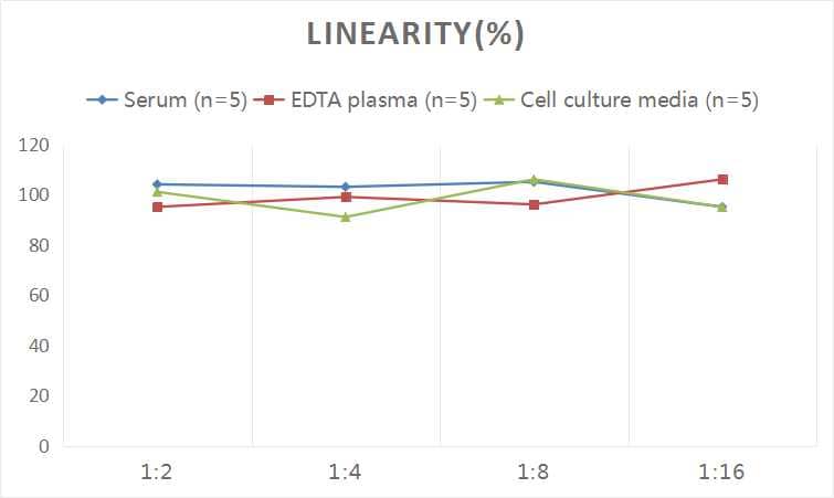 Rat BMP-4 ELISA Kit (Chemiluminescence)