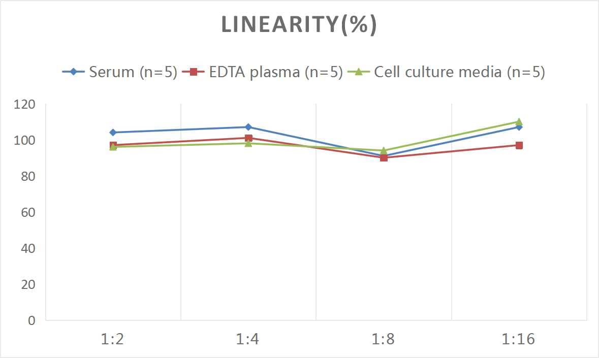 Mouse Angiopoietin-1 ELISA Kit (Chemiluminescence)