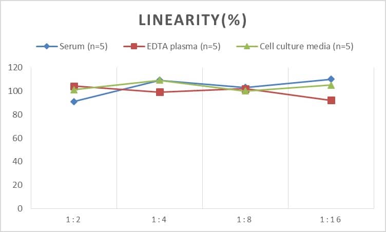 Human CXCR3 ELISA Kit (Chemiluminescence)