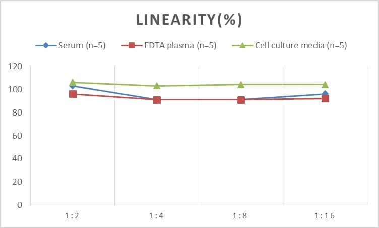 Mouse CXCR3 ELISA Kit (Chemiluminescence)