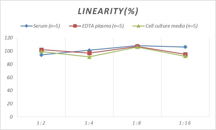 Rat CXCR3 ELISA Kit (Chemiluminescence)