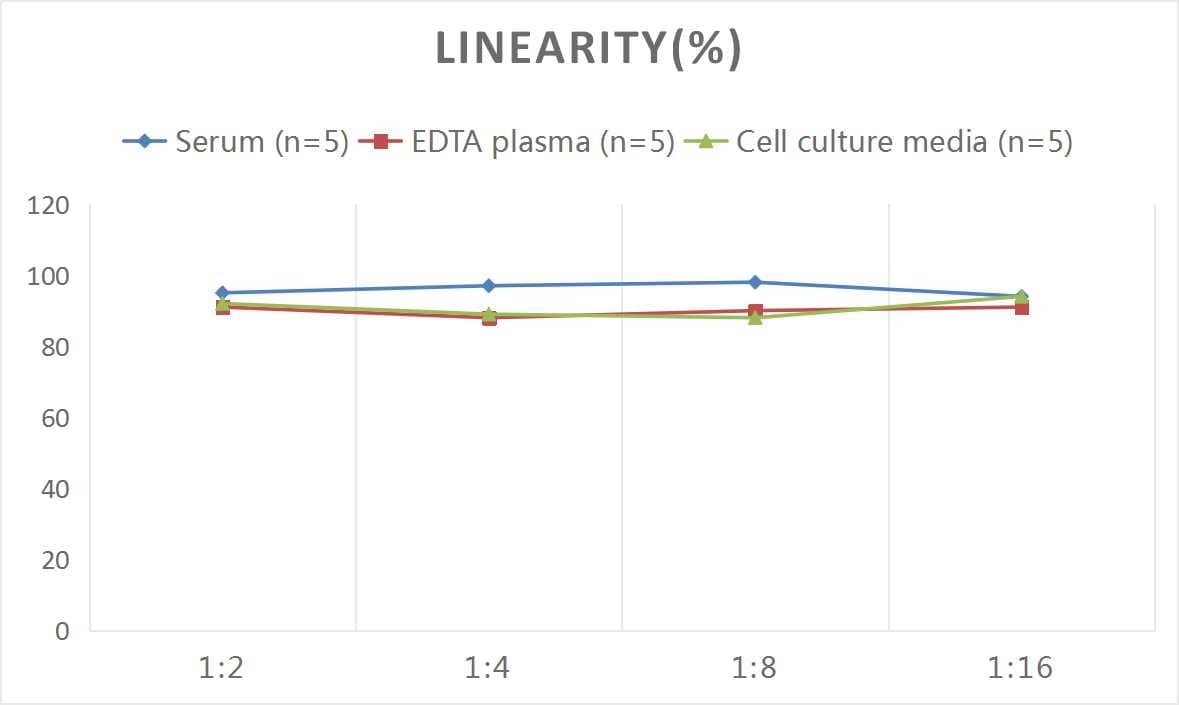 Human IL-26/AK155 ELISA Kit (Colorimetric)