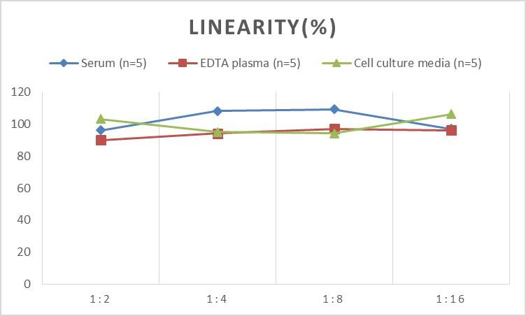 Human 26S Proteasome ELISA Kit (Chemiluminescence)