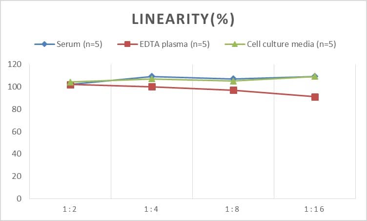 Human 5-Lipoxygenase ELISA Kit (Chemiluminescence)