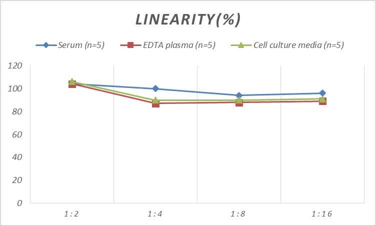 Human 5-Lipoxygenase ELISA Kit (Colorimetric)