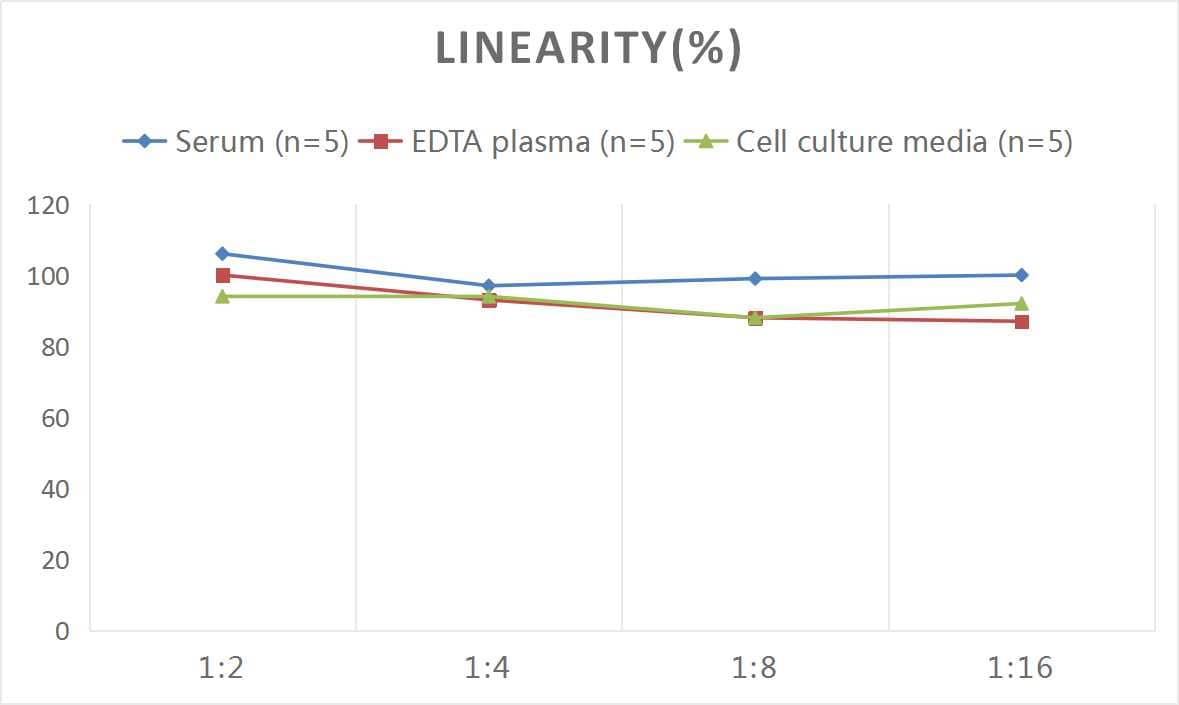 Mouse 5-Lipoxygenase ELISA Kit (Colorimetric)