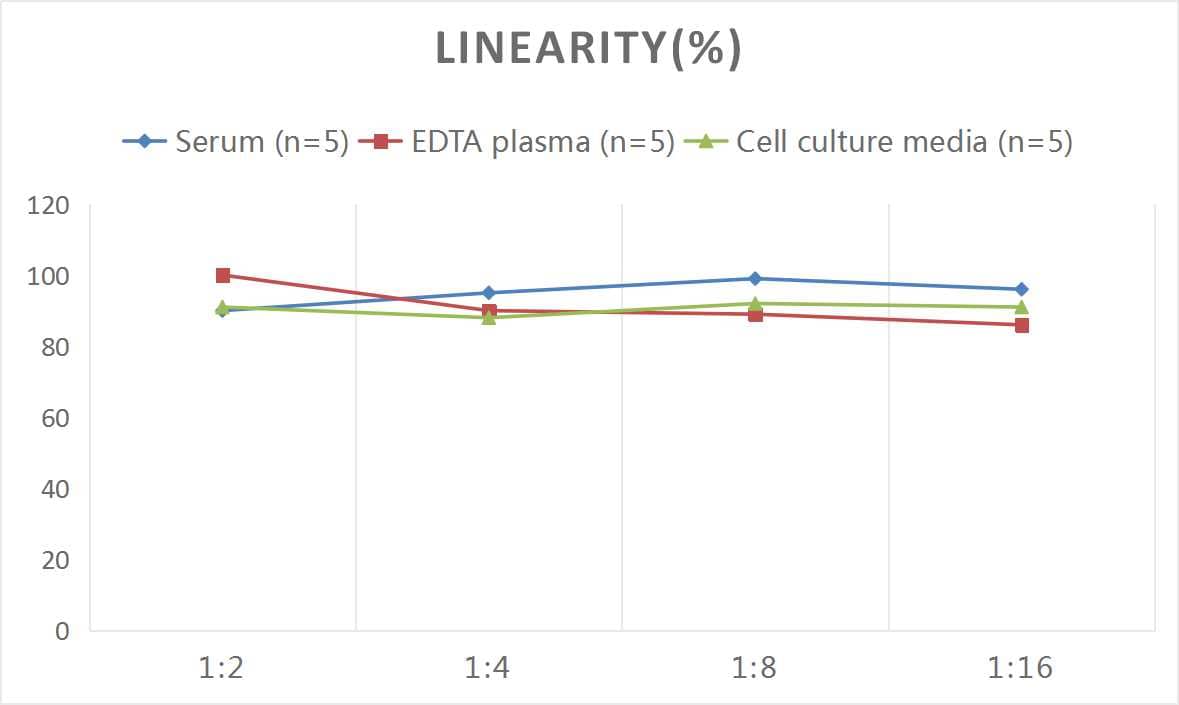 Rat 5-Lipoxygenase ELISA Kit (Colorimetric)