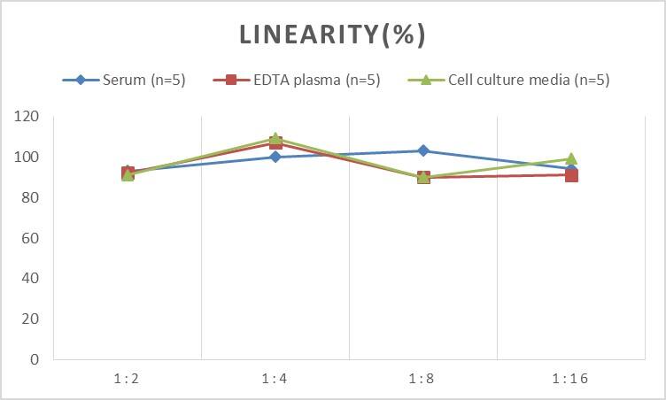 Human 5'-Nucleotidase/CD73 ELISA Kit (Chemiluminescence)