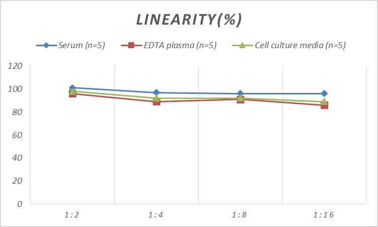 Human ABCC5 ELISA Kit (Colorimetric)