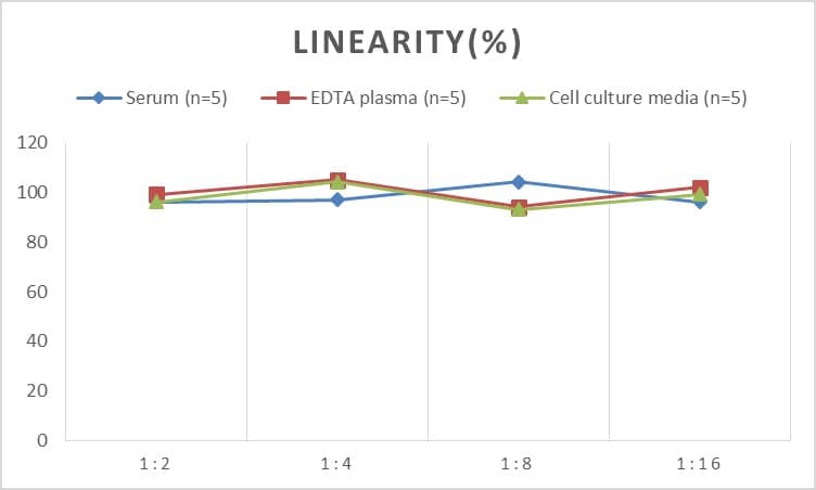 Human ABCG1 ELISA Kit (Chemiluminescence)