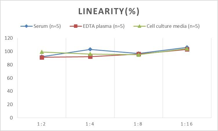 Human ACAT2 ELISA Kit (Chemiluminescence)