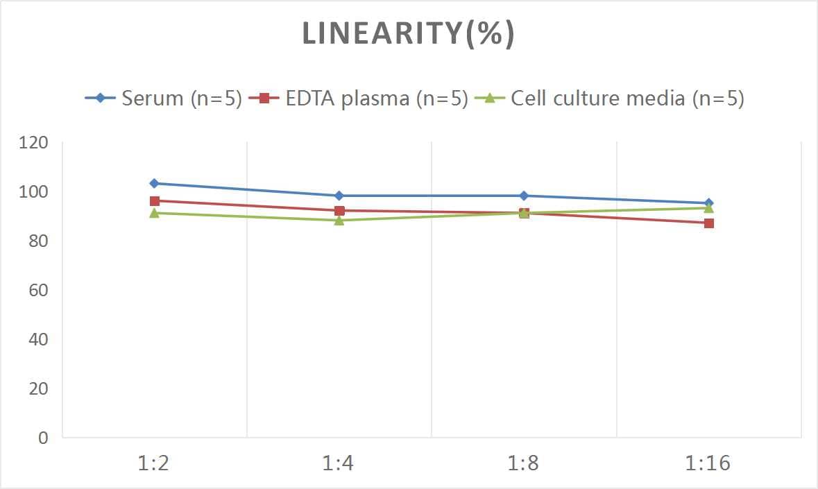 Human Acetyl-CoA Carboxylase alpha/ACACA ELISA Kit (Colorimetric)