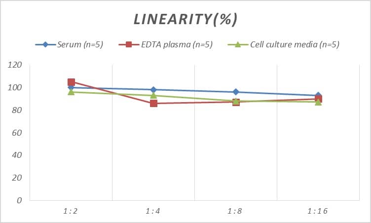 Rat Acetyl-CoA Carboxylase alpha/ACACA ELISA Kit (Colorimetric)