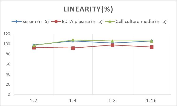 Human ACE-2 ELISA Kit (Chemiluminescence)