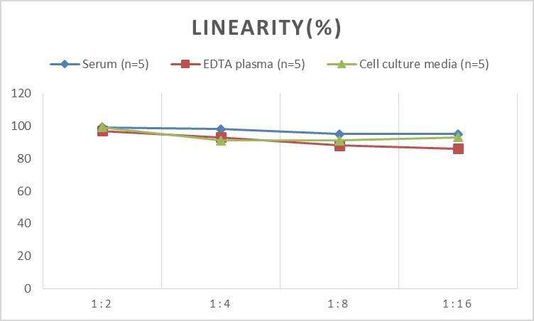 Mouse ACF ELISA Kit (Colorimetric)