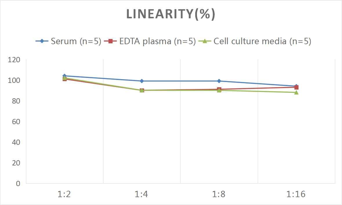 Mouse Acetylcholinesterase/ACHE ELISA Kit (Colorimetric)