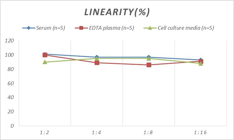 Human LMW-PTP/ACP1 ELISA Kit (Colorimetric)