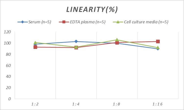 Human Prostatic Acid Phosphatase/ACPP ELISA Kit (Chemiluminescence)