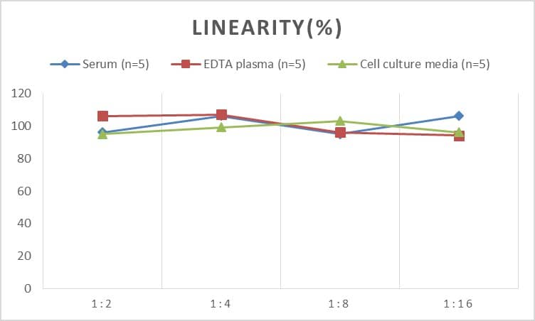 Human TRACP/PAP/ACP5 ELISA Kit (Chemiluminescence)