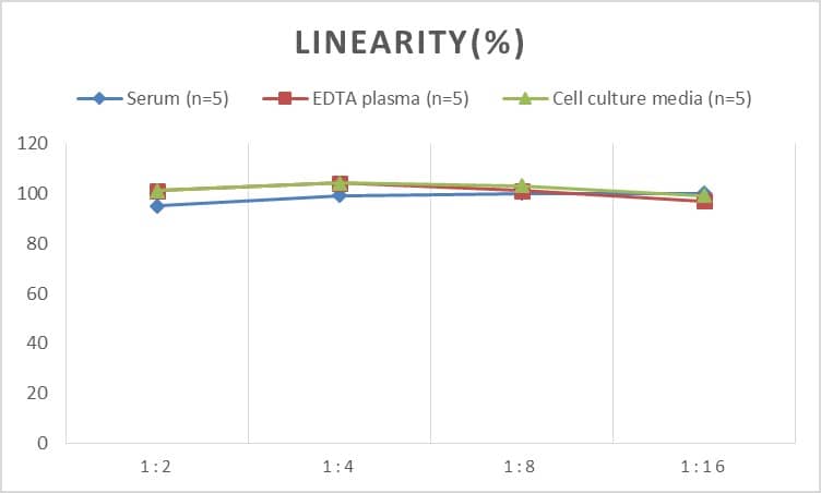 Rat Acetyl CoA synthetase ELISA Kit (Chemiluminescence)