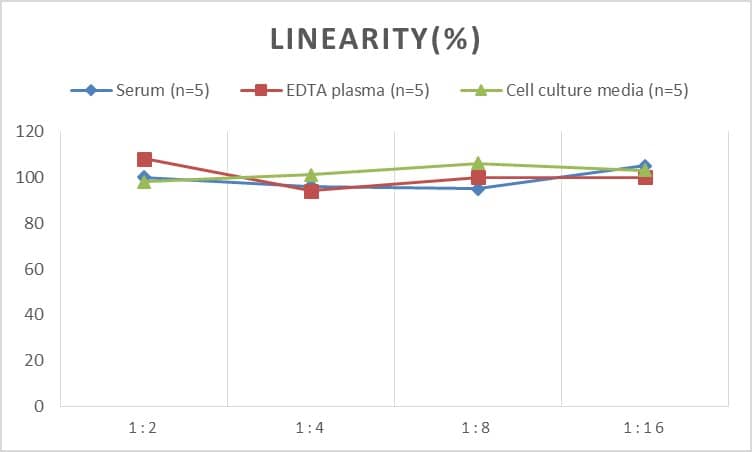 Human Actin Gamma 1 ELISA Kit (Chemiluminescence)