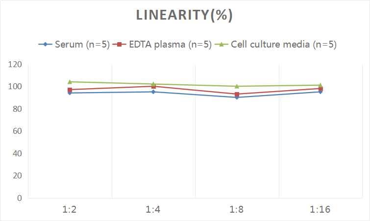 Human ACTH ELISA Kit (Colorimetric)