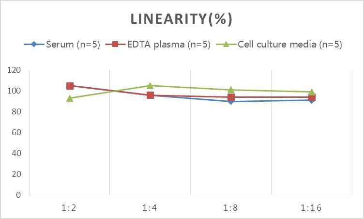 Monkey ACTH ELISA Kit (Colorimetric)