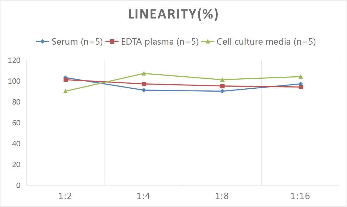 Rat ACTH ELISA Kit (Colorimetric)