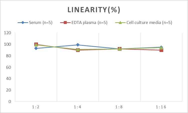 Mouse alpha-Actinin 1 ELISA Kit (Colorimetric)