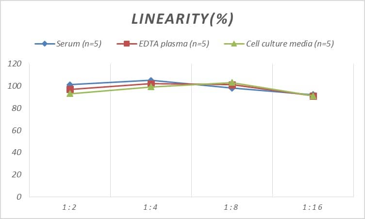 Human Alpha Actinin 2 ELISA Kit (Chemiluminescence)