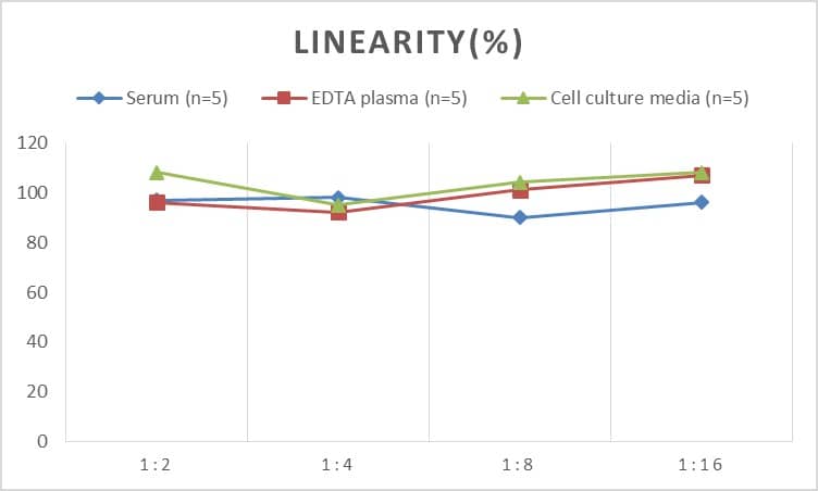 Human Alpha Actinin 3 ELISA Kit (Chemiluminescence)