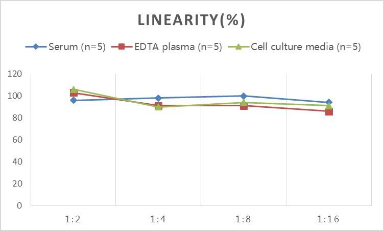 Human Alpha Actinin 4 ELISA Kit (Colorimetric)