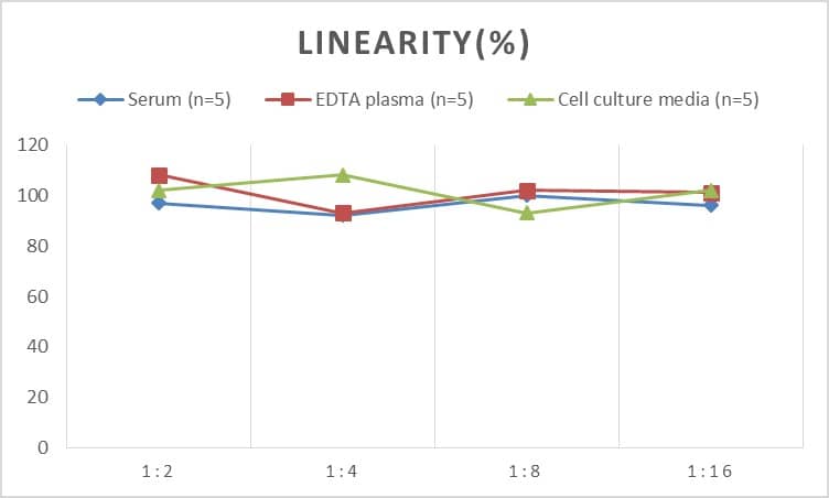 Human Actin ELISA Kit (Chemiluminescence)