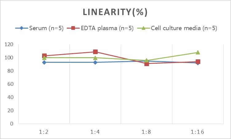 Human alpha-Smooth Muscle Actin ELISA Kit (Chemiluminescence)