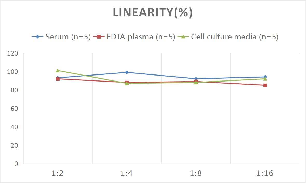 Mouse alpha-Smooth Muscle Actin ELISA Kit (Colorimetric)