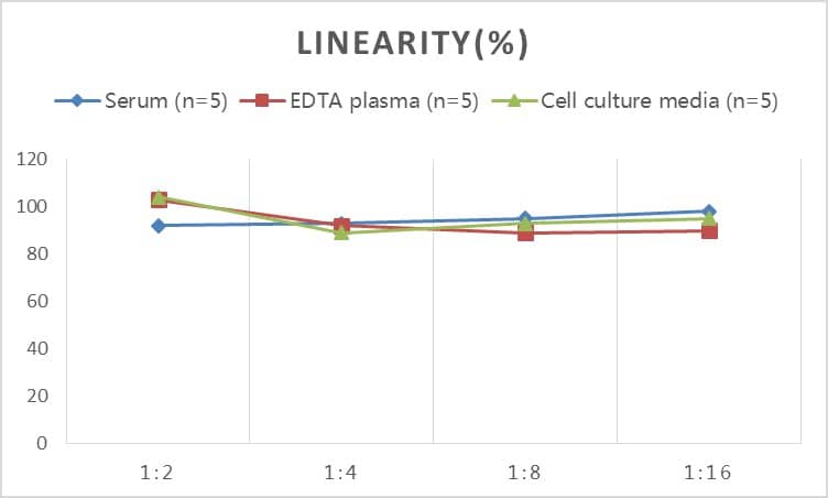 Rat alpha-Smooth Muscle Actin ELISA Kit (Colorimetric)