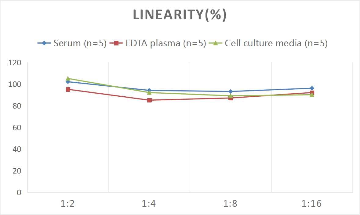 Human ADAM33 ELISA Kit (Colorimetric)