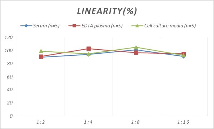 Human ADAM8 ELISA Kit (Chemiluminescence)