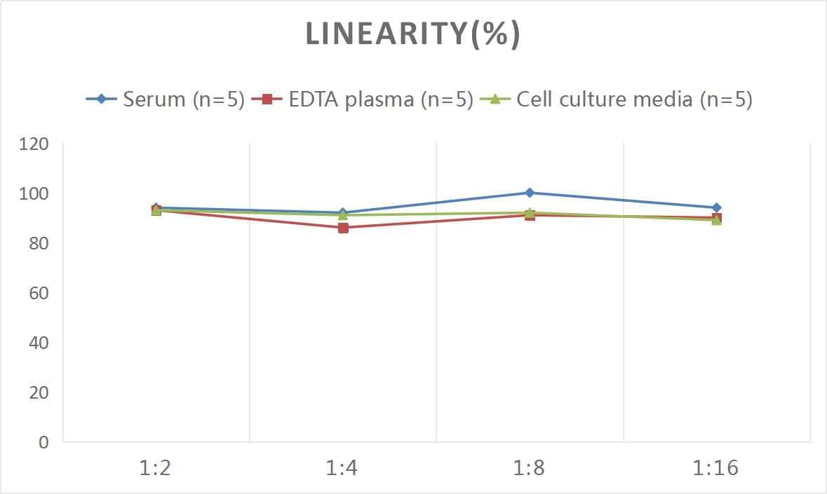 Human ADAMTS5 ELISA Kit (Colorimetric)