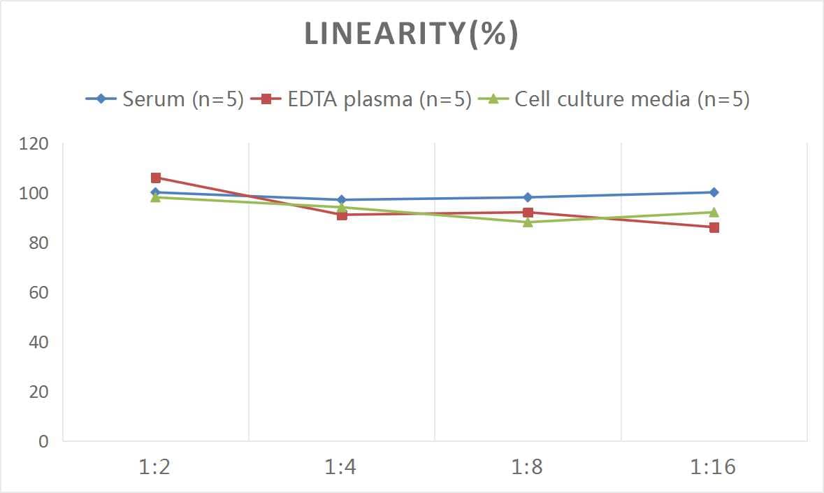 Human ADAMTS7 ELISA Kit (Colorimetric)