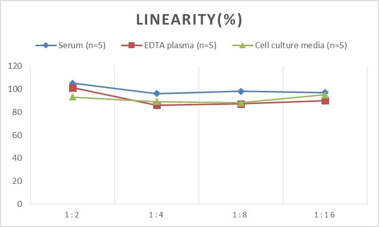 Human ADAMTS8 ELISA Kit (Colorimetric)